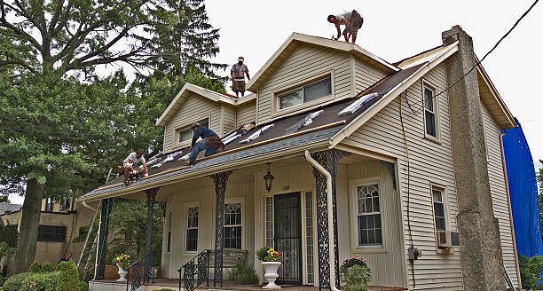 Best Local Roofing Companies  in Kamiah, ID
